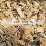 Professional Drag Conveyor thumbnail-4