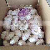 2015 China Garlic Price thumbnail-2