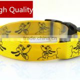 Safety LED Light-up Flashing Glow in the Dark Lighted Dog Collars