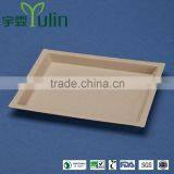PL-75-UB 7*5 Inches Unbleacheddisposable Flate Rectangle Shape Sugarcane Dinner Plates Quality Choice