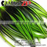 ZPDECOR Feather Hair Extension Dyed Lime Green Laced Medium Rooster Cape Feathers thumbnail-1