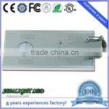 Solar All In One LED Garden Light Smart Lighting With Battery