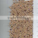 SOYBEANS