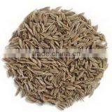 Cumin Seeds thumbnail-2