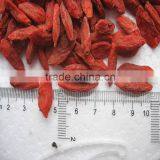 Farm Supply Goji Berries Ningxia Origin thumbnail-2