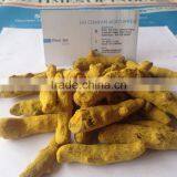 Turmeric thumbnail-1