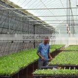 Nursery Systems thumbnail-4