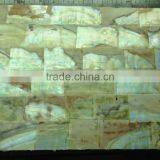 Laminated Yellow Lip Mop Shell Veneer With Skin