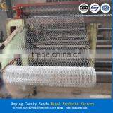 Hexagonal Fence Netting (ISO9001:2008 and Factory and Exporter ) thumbnail-2