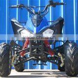 800W Shaft Differential Rear Axle Drive Electric ATV Quad for Sale(TKE-A800-L) thumbnail-2