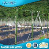 Online Shop Pp Spunbonded Uv Treat Non-Woven Fabrics thumbnail-1