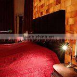 HOT SALE POPULAR SALT ROOM SALT THERAPY, SPELEOTHERAPY & HALOTHERAPY thumbnail-4