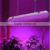 20W Waterproof LED Grow Light thumbnail-1