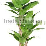 Artificial Bonsai Tree Artificial Banana Plantain Fake Trees thumbnail-5