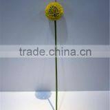 Home and Outdoor Garden Table Wedding Gate Decoration 60cm or 24inches H Artificial Fake Hands Yellow Onion Flowers E04 0607 thumbnail-2