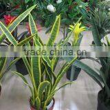SJ GN 56 Artificial Sansevieria Plants thumbnail-2
