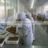 IQF Blue Mussel Meat thumbnail-4