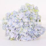 Best Price Fresh Cut Processing Type Natural Hydrangea Wholesale From Yunnan ,China thumbnail-2