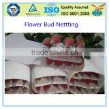 Colorful Flower Packing Bud Net thumbnail-3
