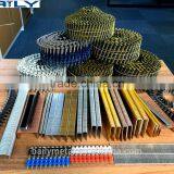 Galvanized Decorative F Wire Brad Nail F20 F10 F15 F25 F35 F40 F45 F50 FROM BAILY Factory thumbnail-6