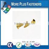 Made in Taiwan High Quality Stainless Steel Phillips Head Brass Self Tapping Screw thumbnail-6