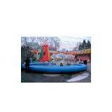 Swimming Pool,climber,waterball