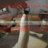 Natural Tapered Bottom ( Single Drawn ) Horse Tail Extensions for Sale thumbnail-5