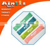 custom fitness resistance exercise resistance band loops with Instructional Booklet,Carry Bag