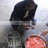 Best Price And High Quality Ice Popsicle Making Machine thumbnail-6