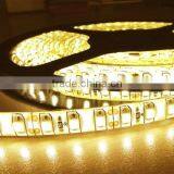 3528 SMD 60led/m DC12V IP65 warm white led strip