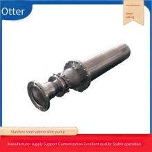 304 Stainless Steel Deep Well Pump_316 Stainless Steel Seawater Pump_seawater Lift Pump Skid thumbnail-2