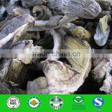 Factory Supply Organic Dried White Boletus Mushroom thumbnail-1