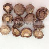 Polish Wild Dried Mushrooms thumbnail-4