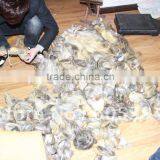 Unprocessed Grey Human Hair Extensions Gray Human Hair thumbnail-4