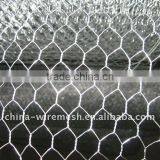 ISO9001:2000 Factory Galvanized Hexagonal Wire Mesh