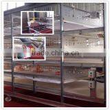 Hot Sale of Cage of Baby Chicken/New Type Broiler Chicken Cage thumbnail-1