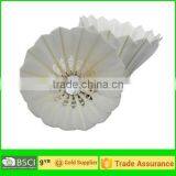 Badminton thumbnail-2