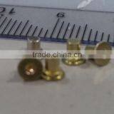 Micro Screw, Fastener, Metal Rivet Pin & Cold Forging Part thumbnail-5