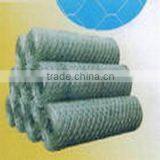Hexagonal Wire Mesh