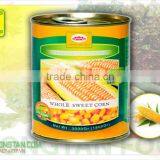 Sweet Corn in Can 3Kg thumbnail-1