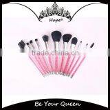 Pink 11pcs Acrylic Handle Brush Makeup Gift Set