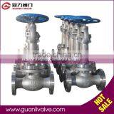 CF8 CF8M Cryogenic Steam Globe Valve thumbnail-1