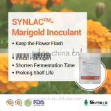 SYNLAC I-Marigold Inoculant
