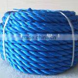 POLYPROPYLENE DANLINE ROPE FOR MARINE ROPE thumbnail-4