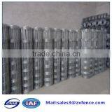 Best Sale Export Factory Pig Fence,goat Fence, Cow Fence thumbnail-6