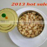 Canned White Kidney Beans in 425ml Tins (canned Food)