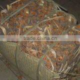 Cassia Whole Pressed in Bales