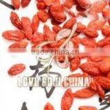 GOJI 2015 thumbnail-2