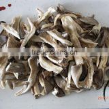VF oyster mushroom chips