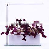 Cheap High Quality G23 G24 Led pl Lamp thumbnail-1